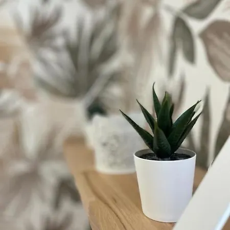 Le Catele - - 3 Pers - Vulcania - Puy De Dome - Proche Clermont Ferrand