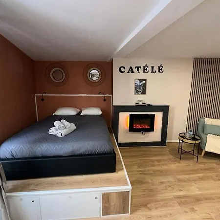 Le Catele Studio Sympathique By Cj Apartment Riom
