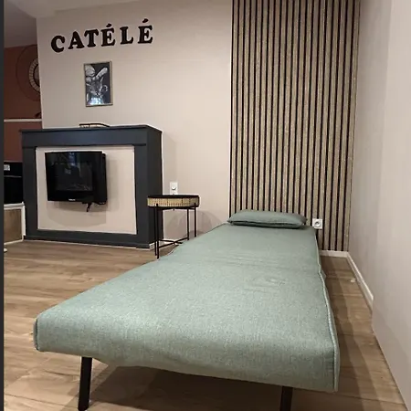 Le Catele - - 3 Pers - Vulcania - Puy De Dome - Proche Clermont Ferrand شقة